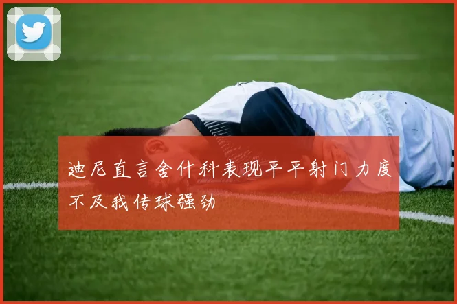 迪尼直言舍什科表现平平射门力度不及我传球强劲